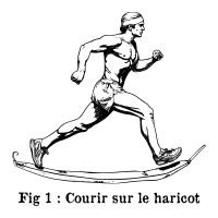 Courir sur le harricot