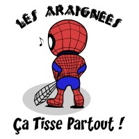 Les araignées ça tisse partout !